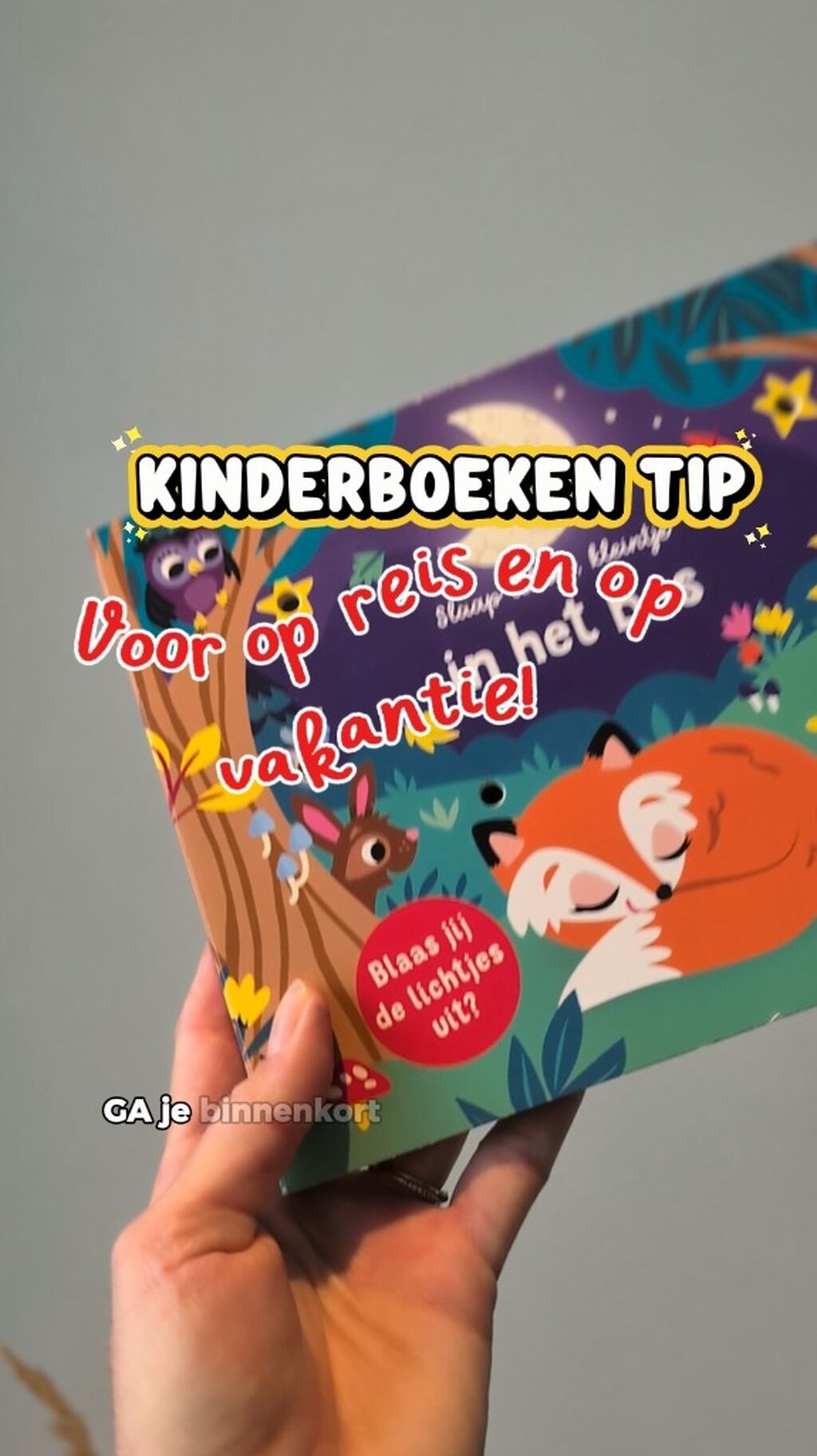 De leukste (interactieve) kinderboeken voor op reis!😍☀️