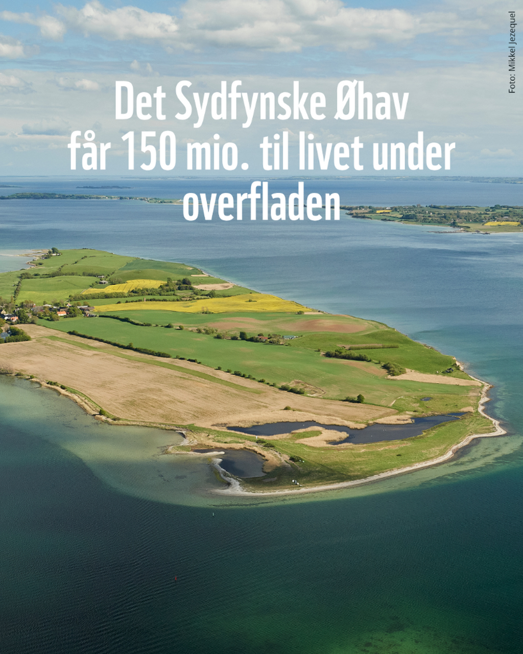 Projekt: Liv under overfladen 