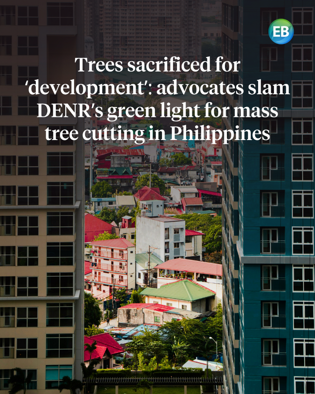 Trees sacrificed for &lsquo;development&rsquo;: advocates slam DENR&rsquo;s green light for mass tree cutting in Philippines