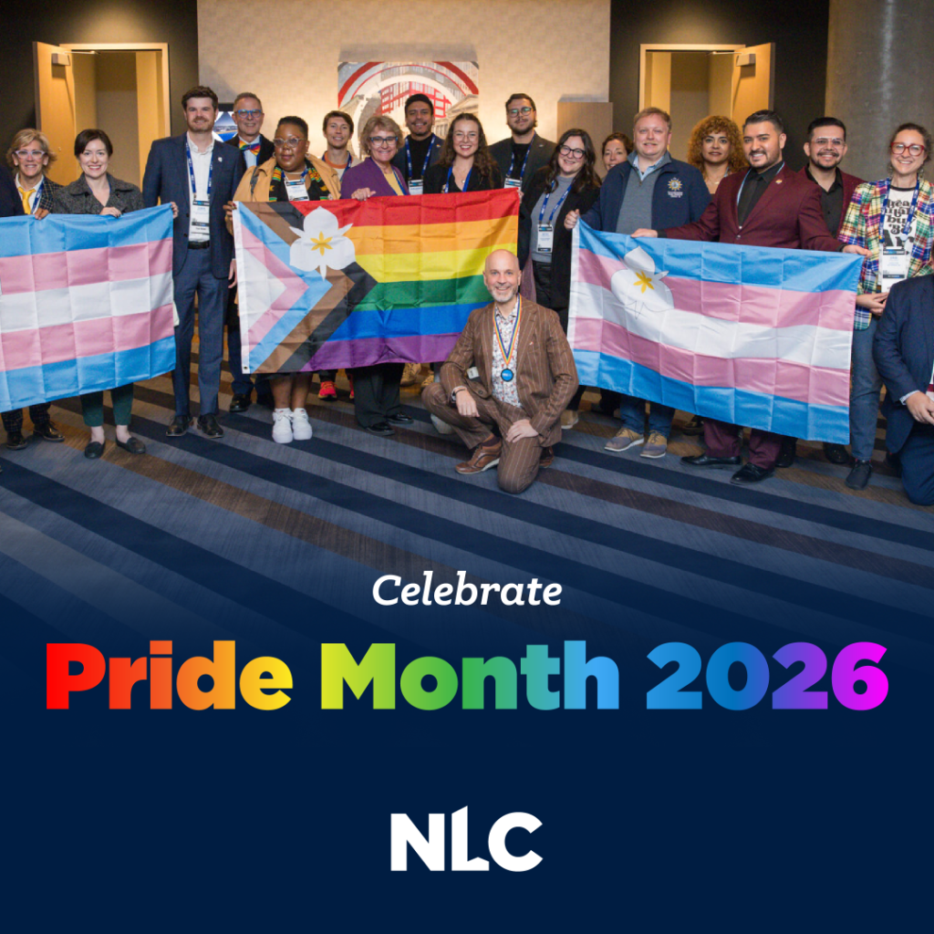 LGBTQ+ Local Officials