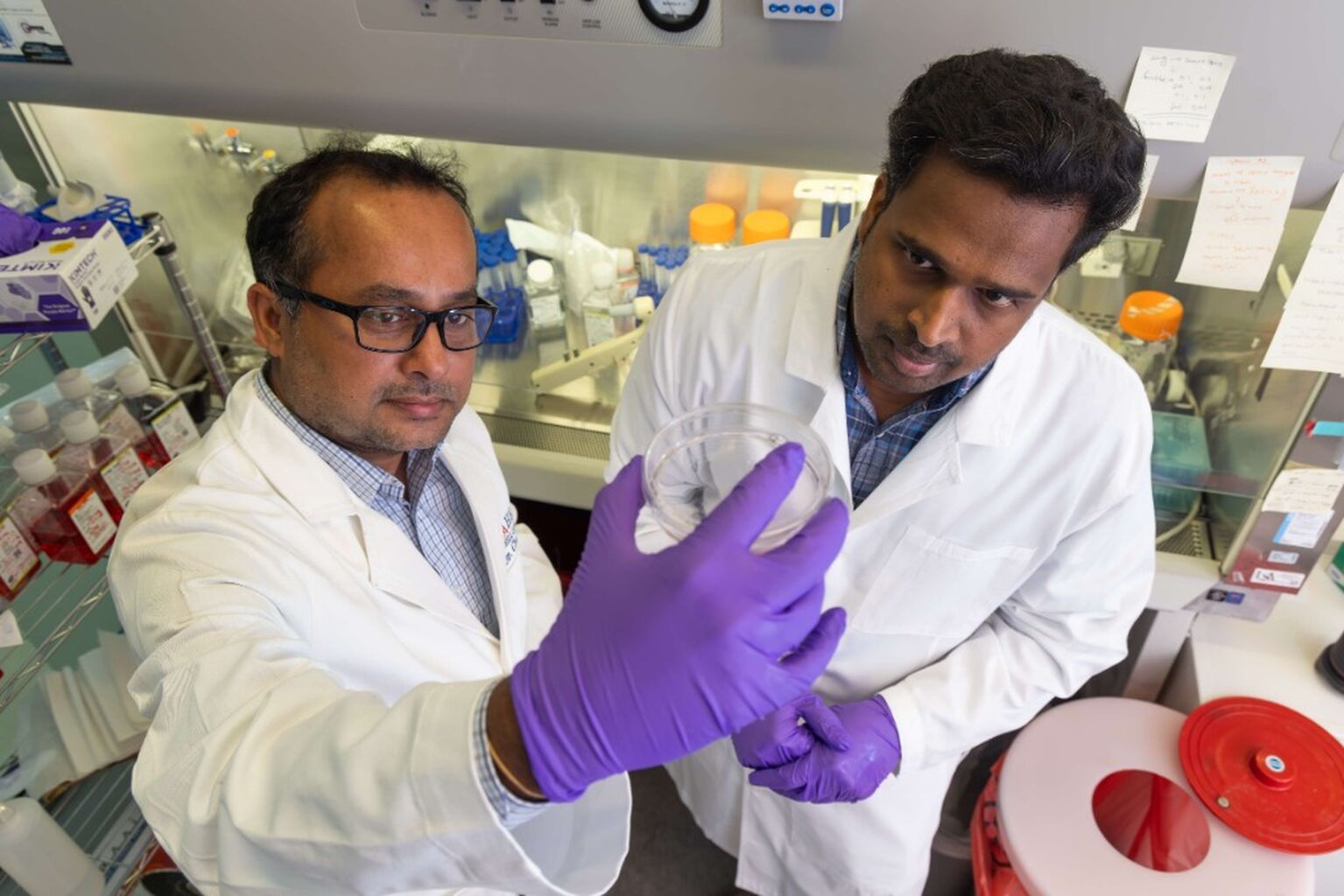 USA researchers study mechanism behind gastric cancer metastasis