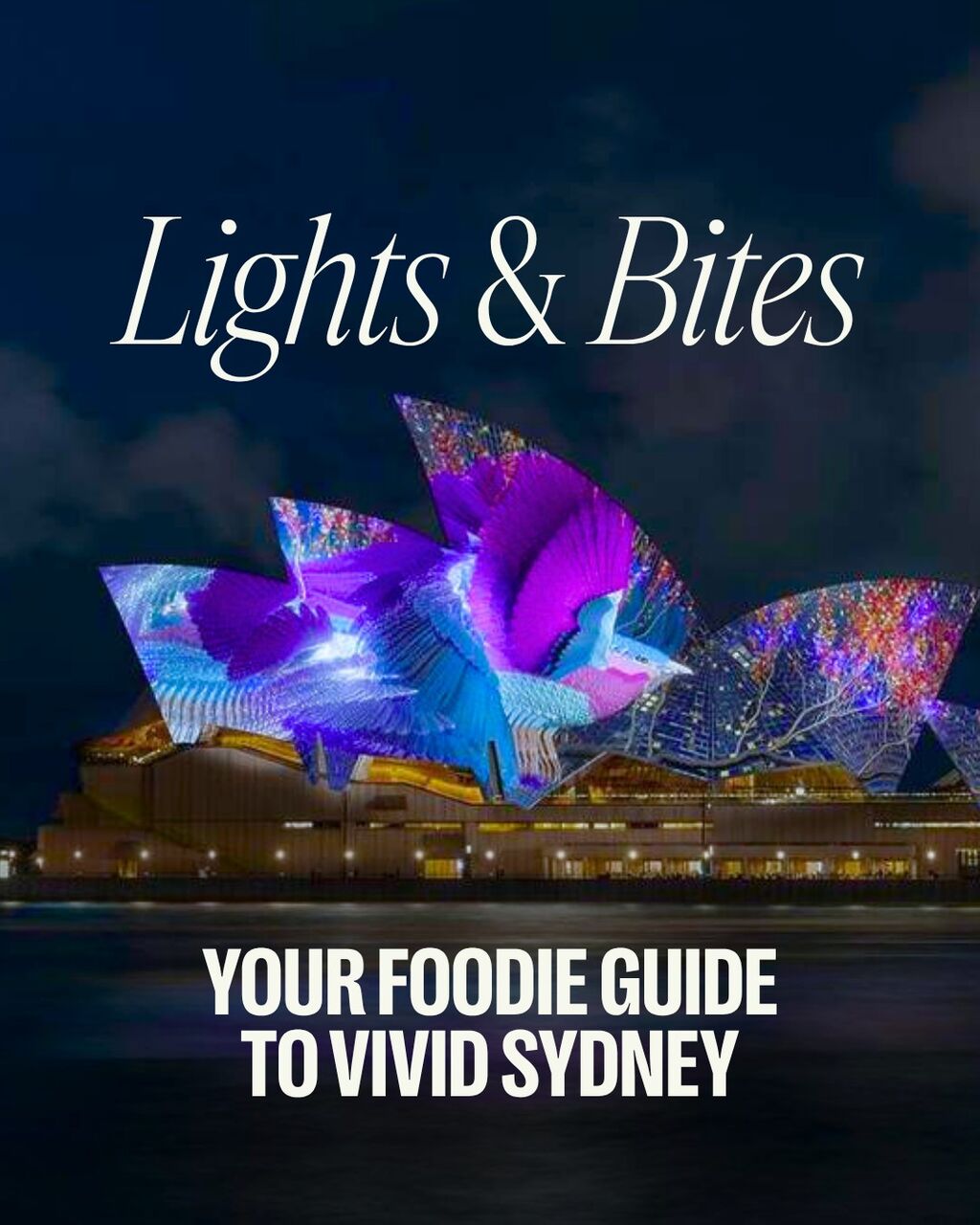 A Guide to the Best Food Experiences at Vivid