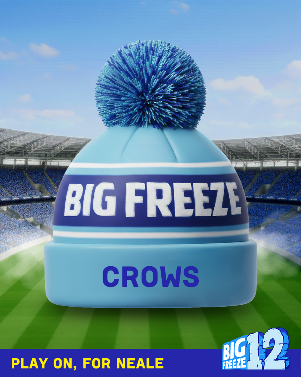 DONATE BY GRABBING A DIGITAL BEANIE
