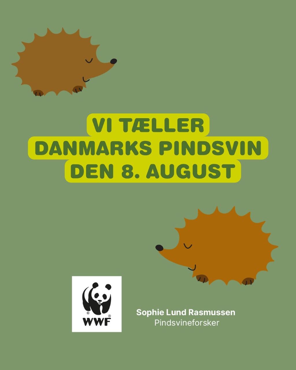 Tilmeld dig &aring;rets pindsvinet&aelig;lling 🦔🔎