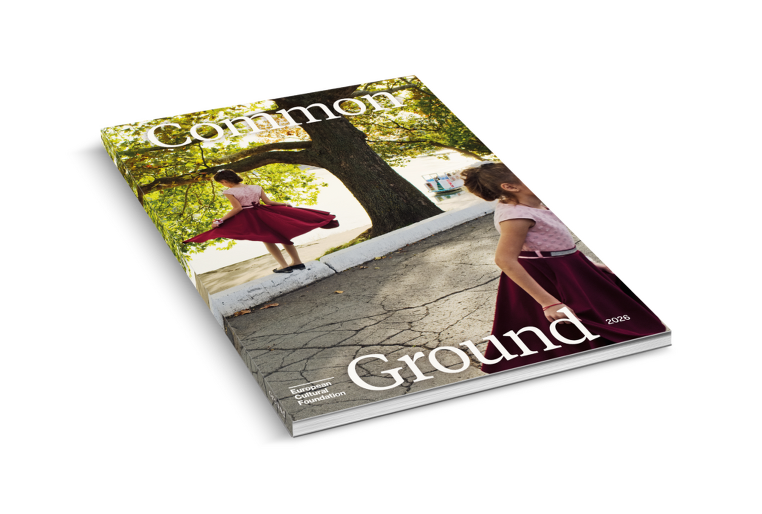 Common Ground 2026 Launched at Europe Day &ndash; European Cultural Foundation