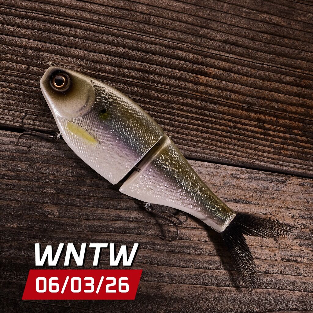 What's New At Tackle Warehouse 6.03.26