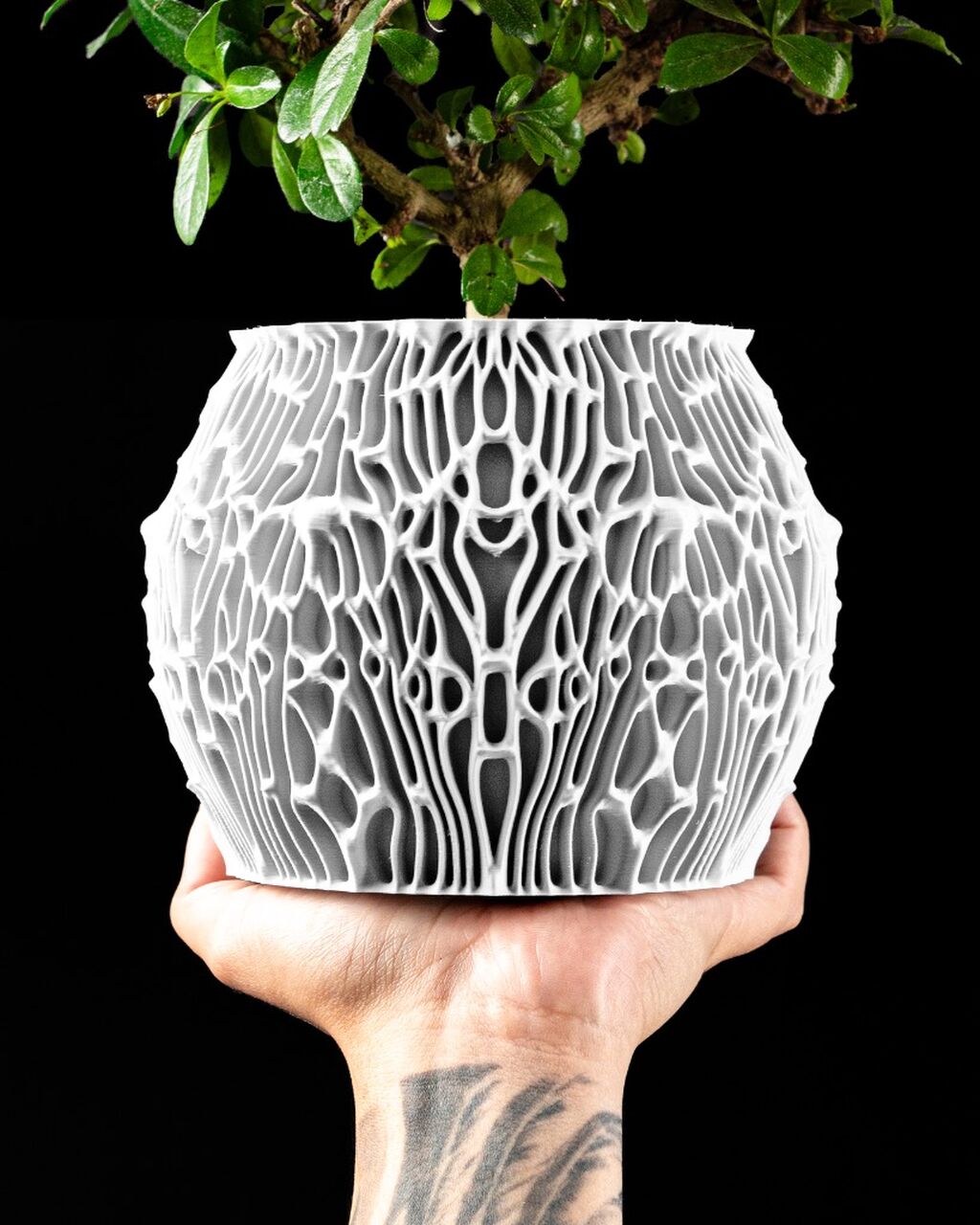 Planter Pot 006