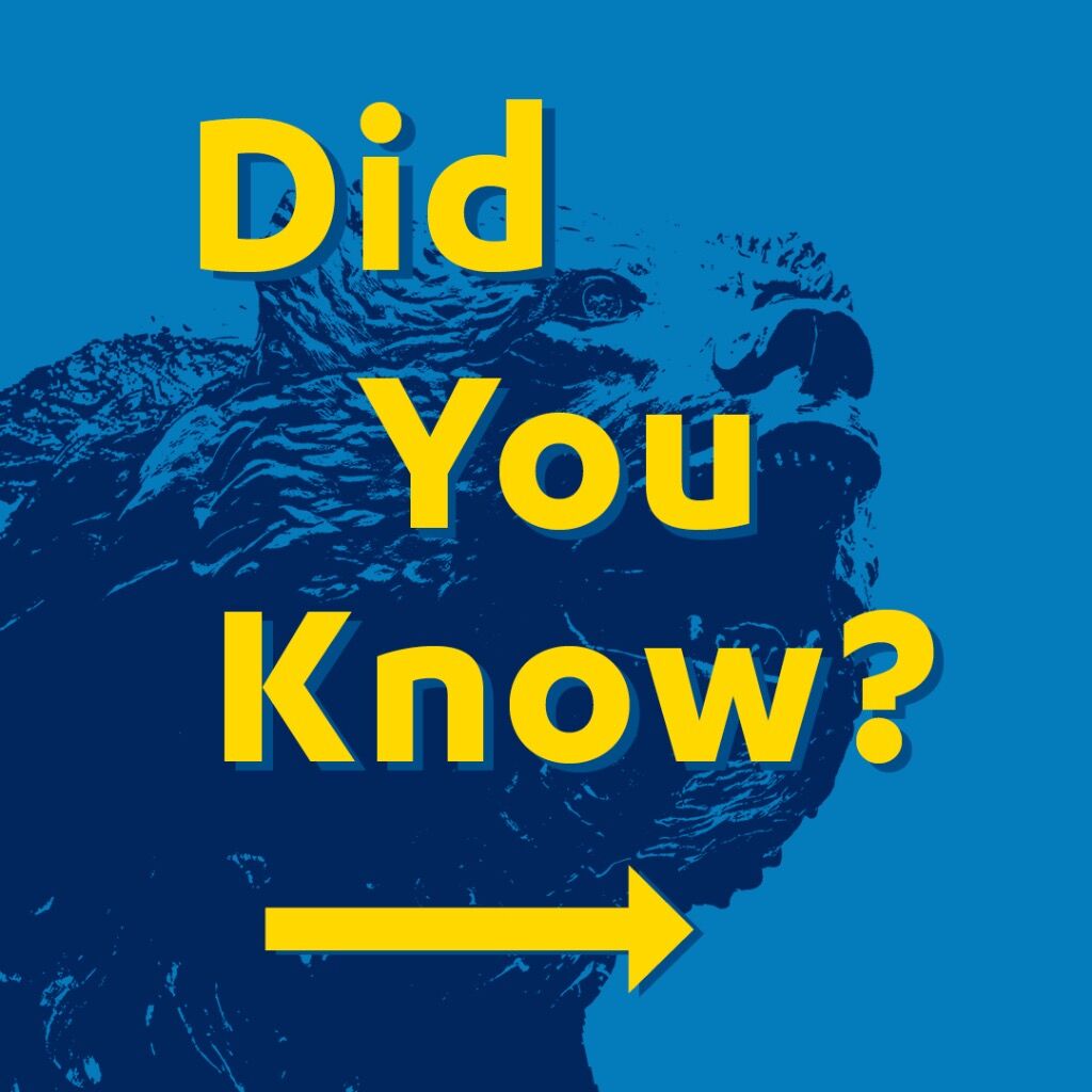 Learn About the Civil Rights Office