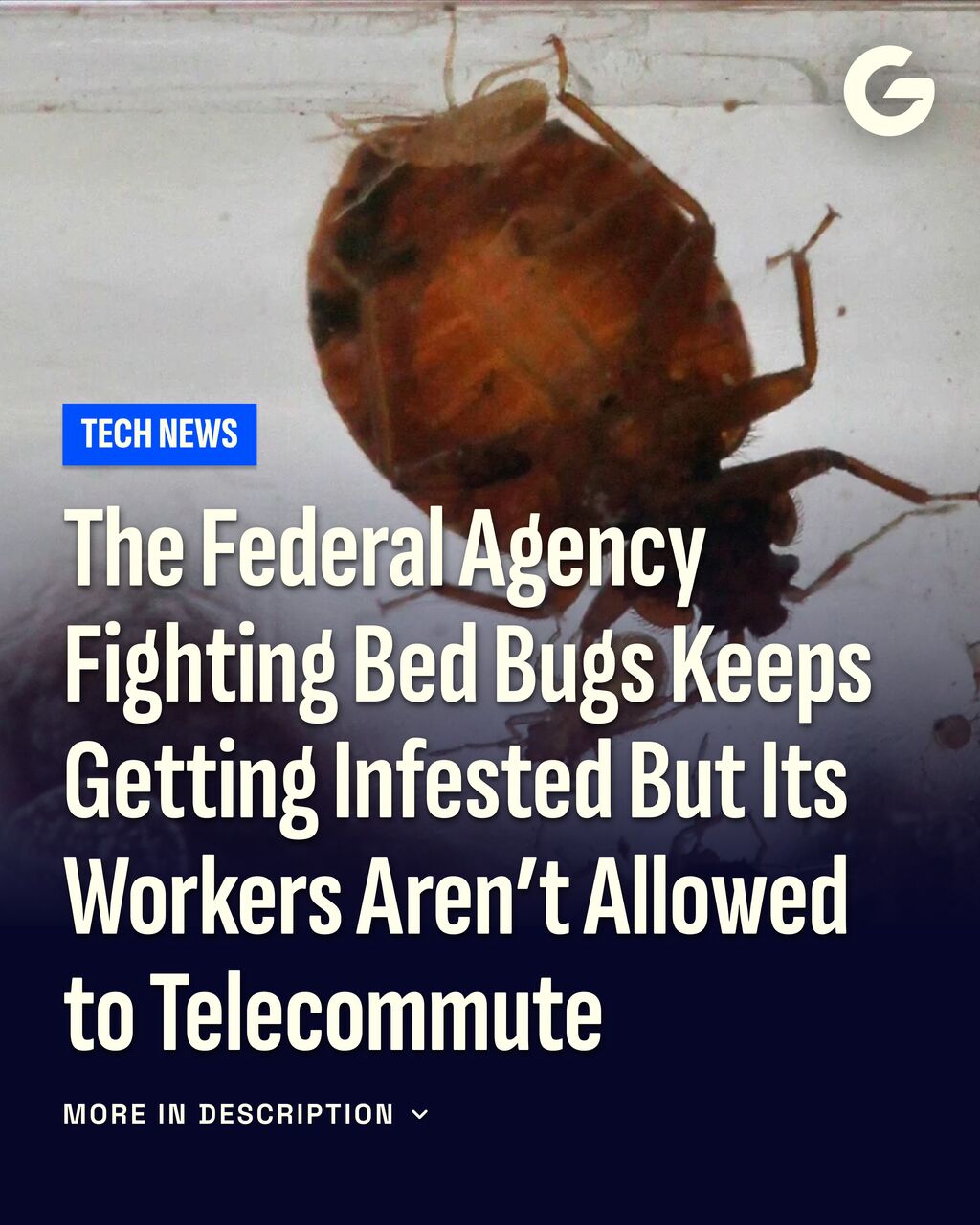 The Federal Agency Fighting Bed Bugs Keeps Getting Infested But Its Workers Aren&rsquo;t Allowed to Telecommute