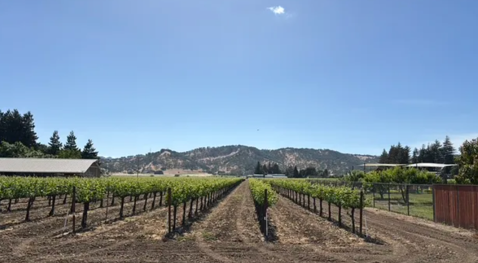 UC workshops for growing wine grapes and nuts in extreme and variable weather June 8, 9 and 12