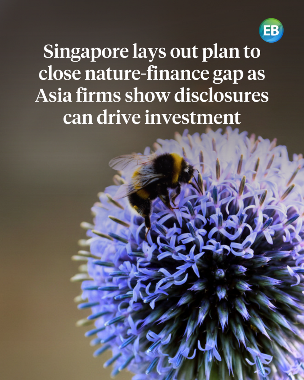 Singapore lays out plan to close $700 billion nature-finance gap as Asia&rsquo;s TNFD pioneers show disclosures can move capital
