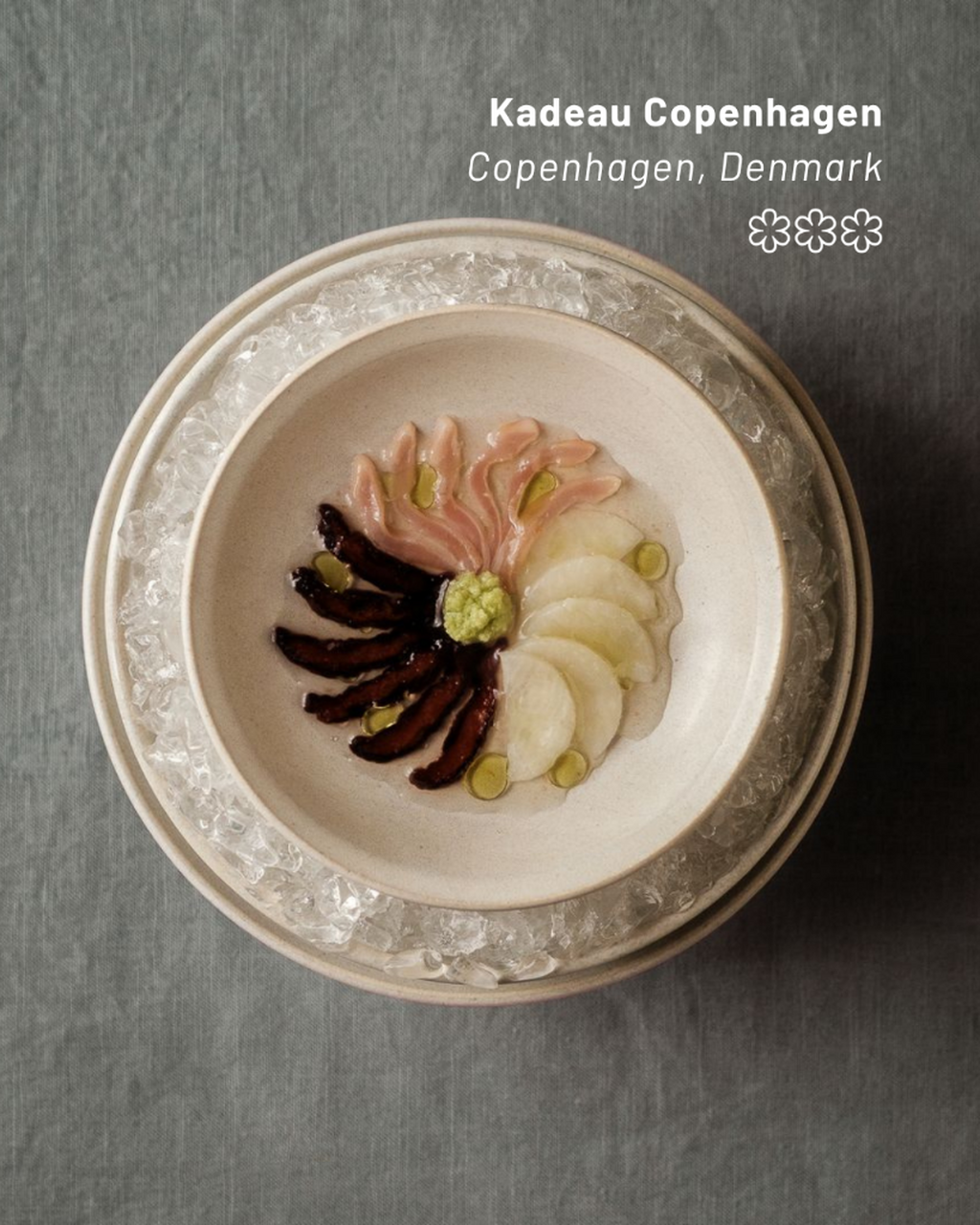 All the Winners in the MICHELIN Guide Nordic Countries 2026!