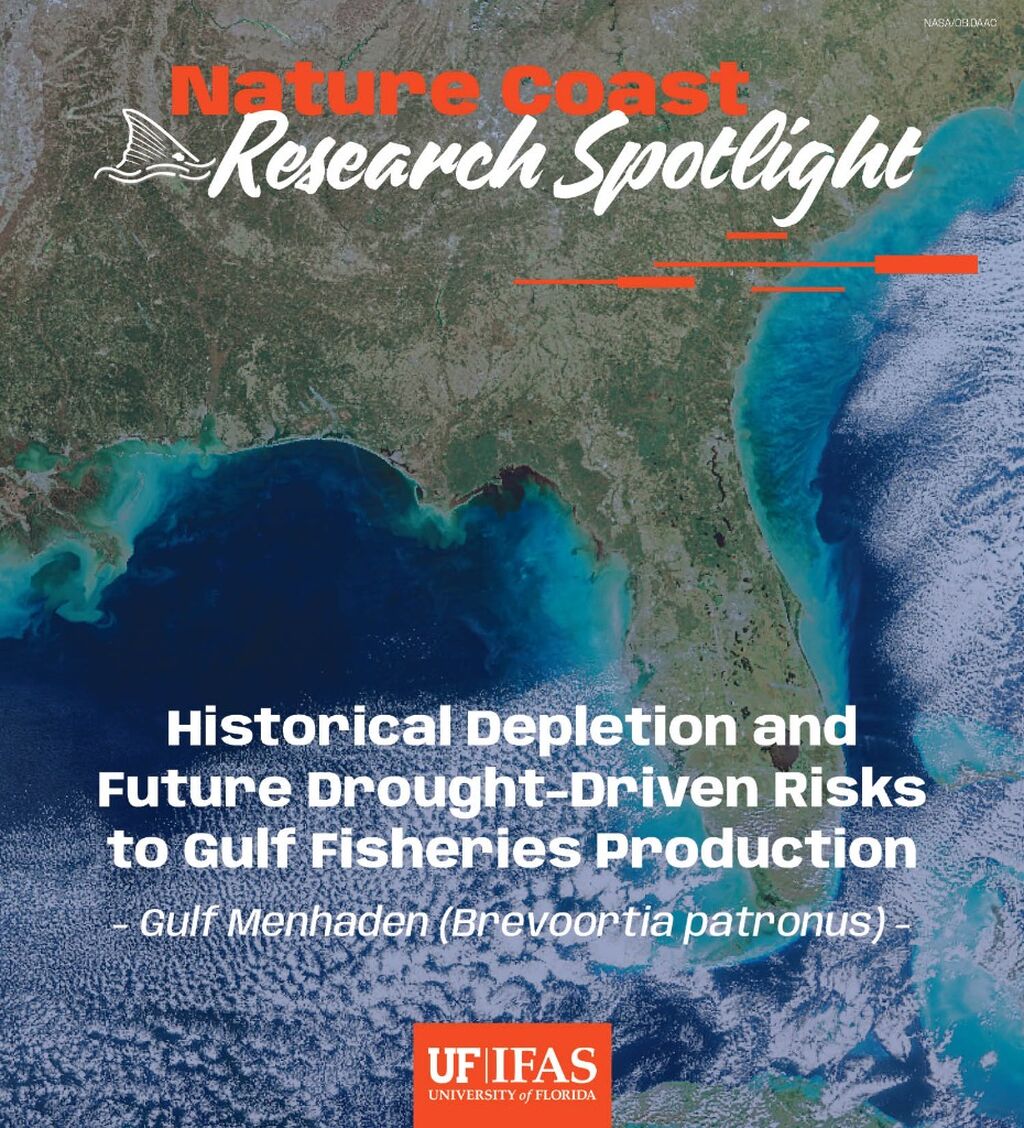 New Study Highlights Climate and Drought Risks to Gulf Fisheries