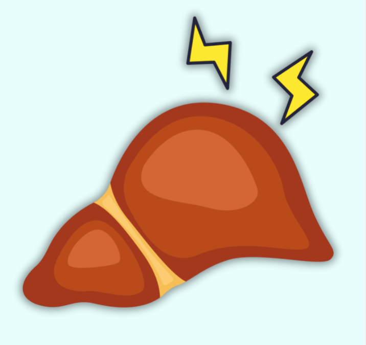 Severe Liver Impairment | Trial Opportunity &ndash; 1nHealth Studies