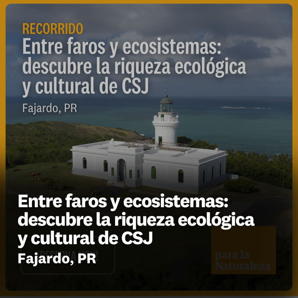 Entre faros y ecosistemas: descubre la riqueza ecol&oacute;gica y cultural de CSJ