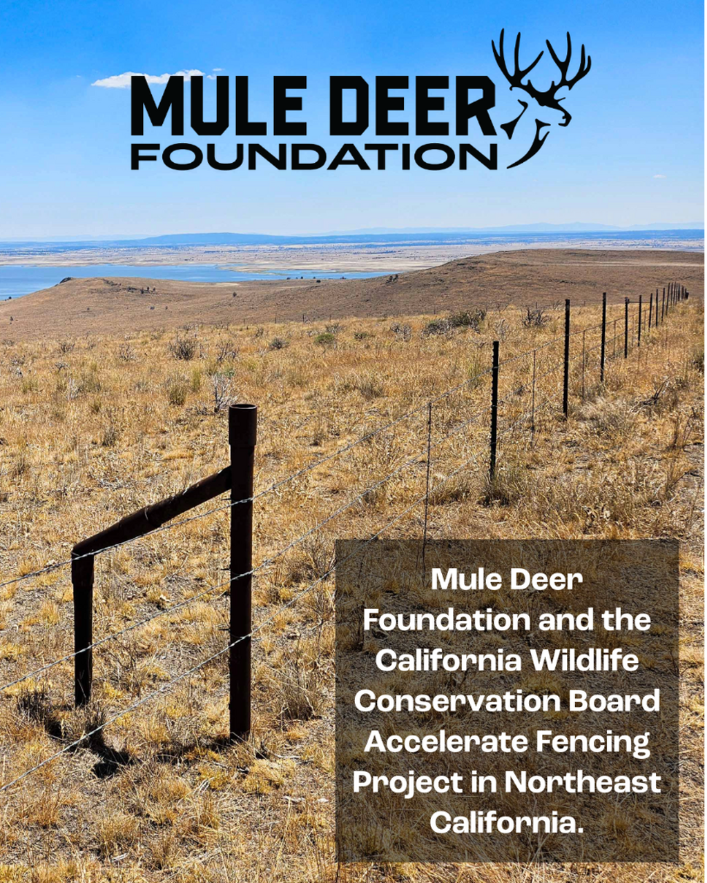 Mule Deer Foundation and the California Wildlife Conservation Board Accelerate Fencing Project in Northeast California&nbsp;