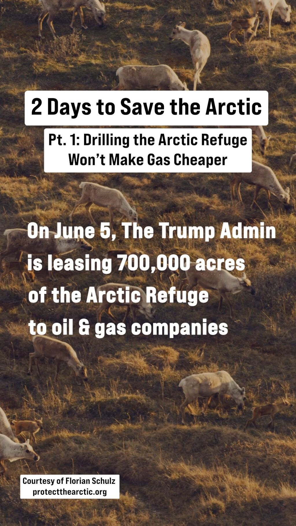 Hands off our Arctic!