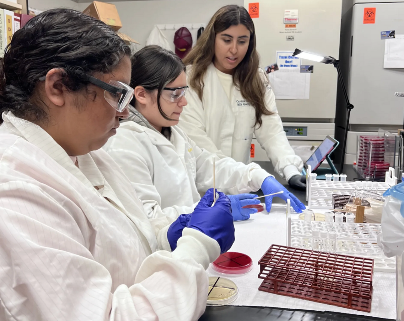High school students try their hands as livestock vets to fill need in rural areas
