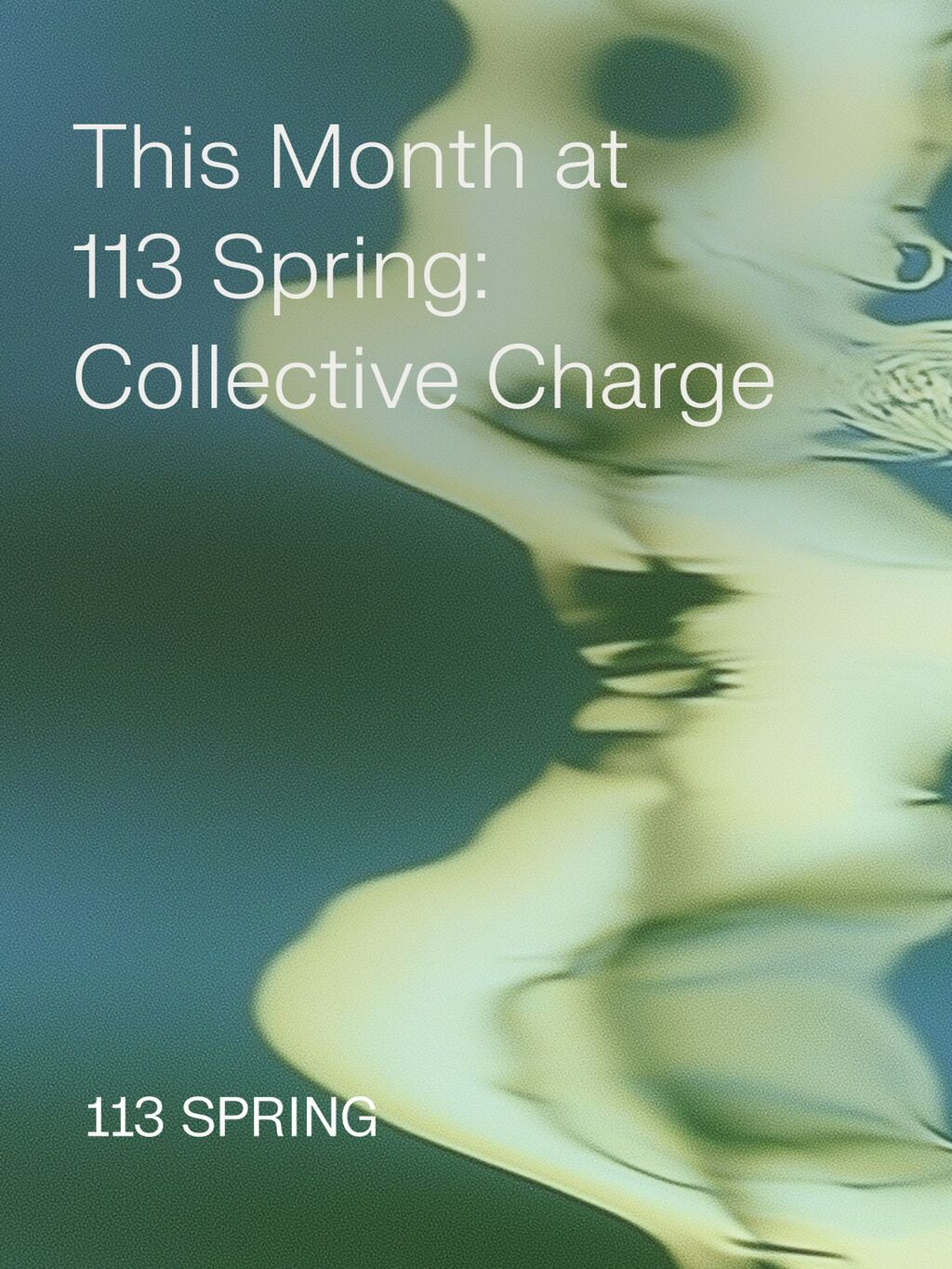 Collective Charge at 113 Spring
