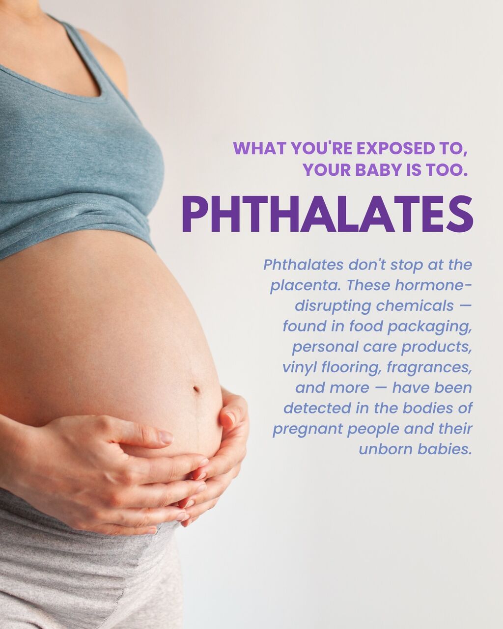Ban phthalates from food packaging