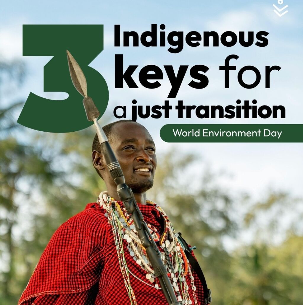 Just Transition or Green Colonialism? The Impact of Indonesia&rsquo;s Energy Transition on Indigenous Peoples