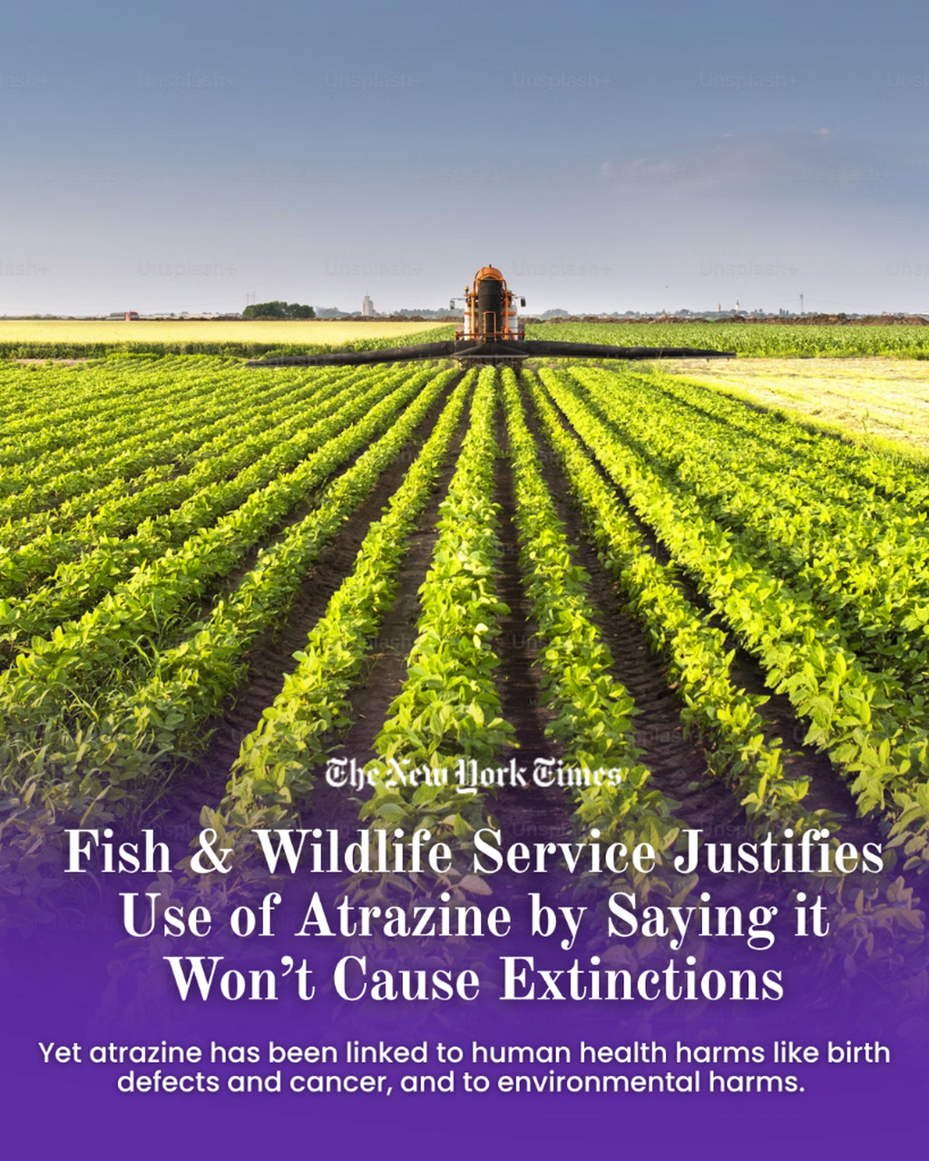 Learn more about atrazine