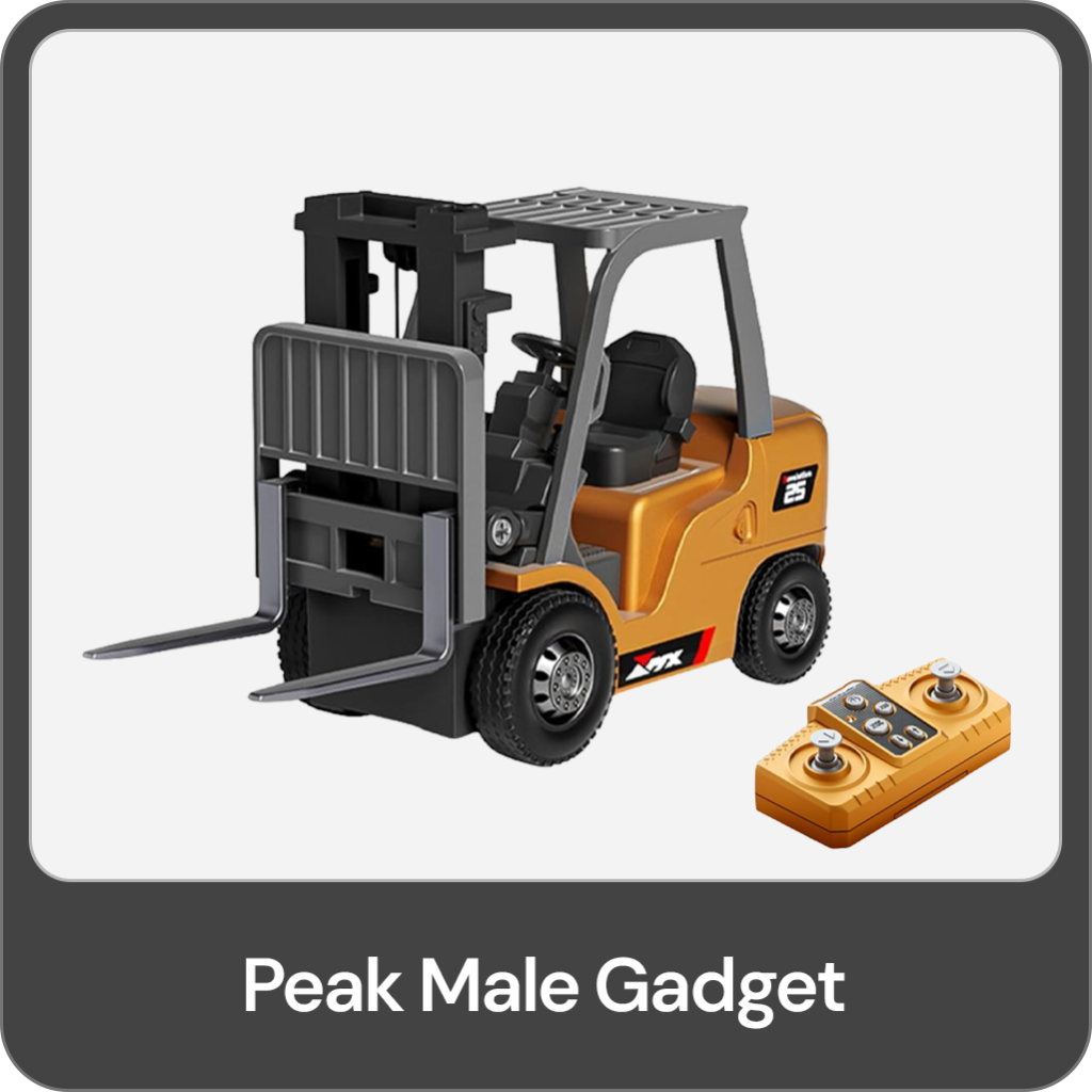 Mini Forklift RC