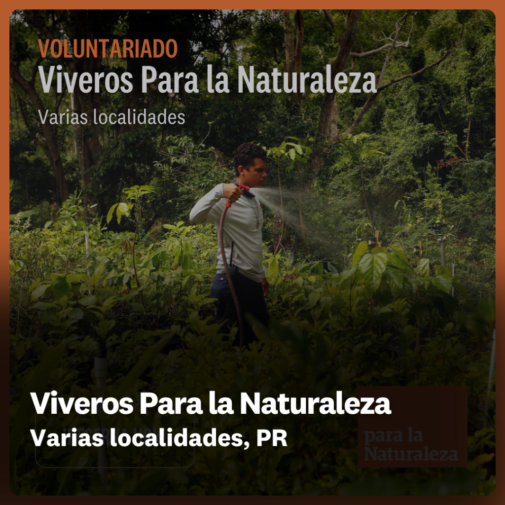 Viveros Para la Naturaleza 