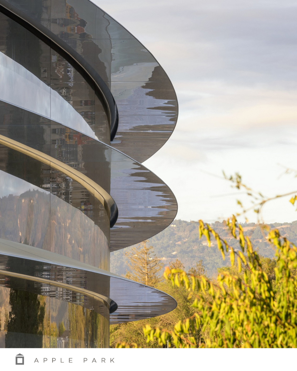 Apple Park Inspo 
