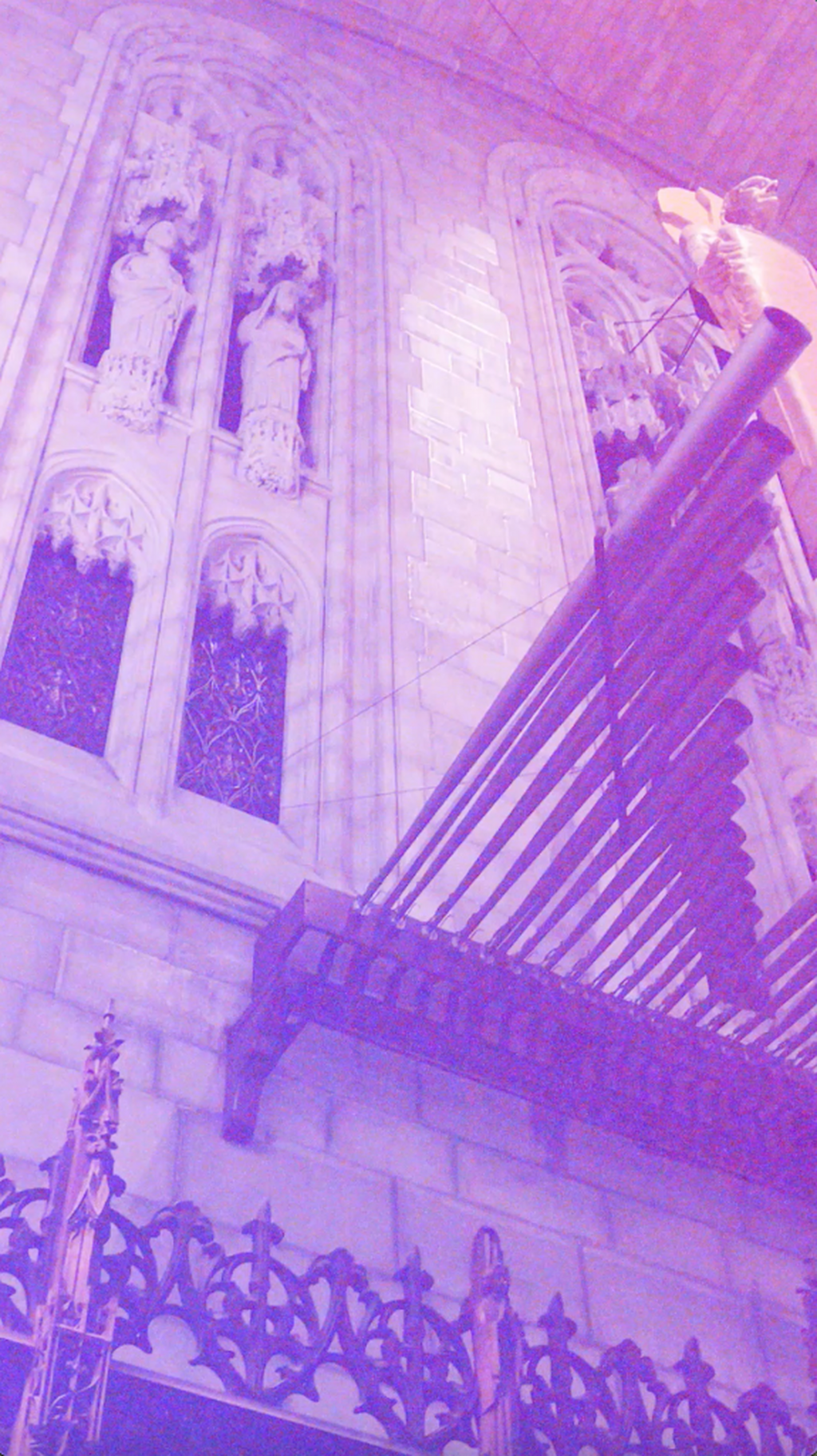 Organ Series
