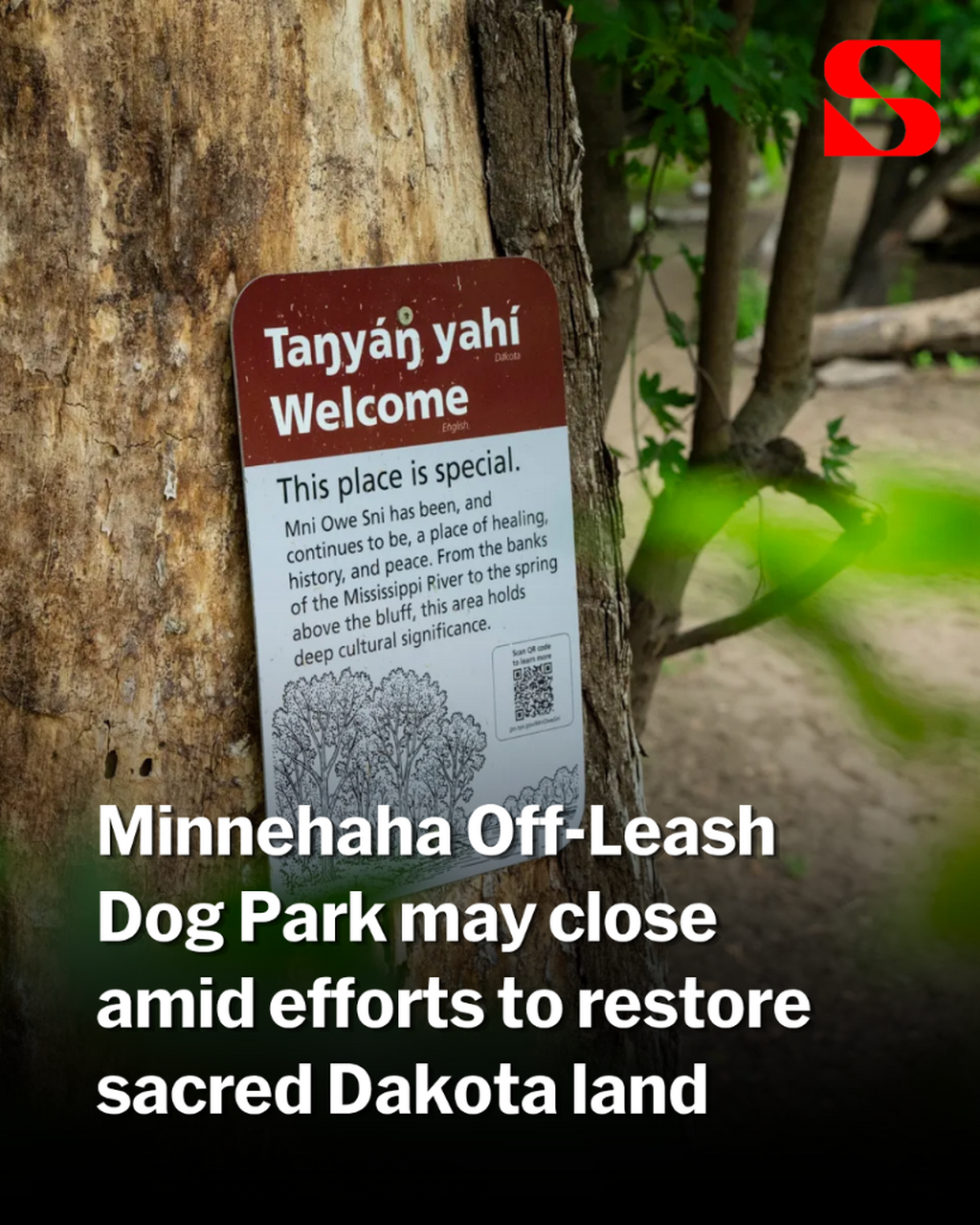 Minnehaha Off-Leash Dog Park may close amid efforts to restore sacred Dakota land