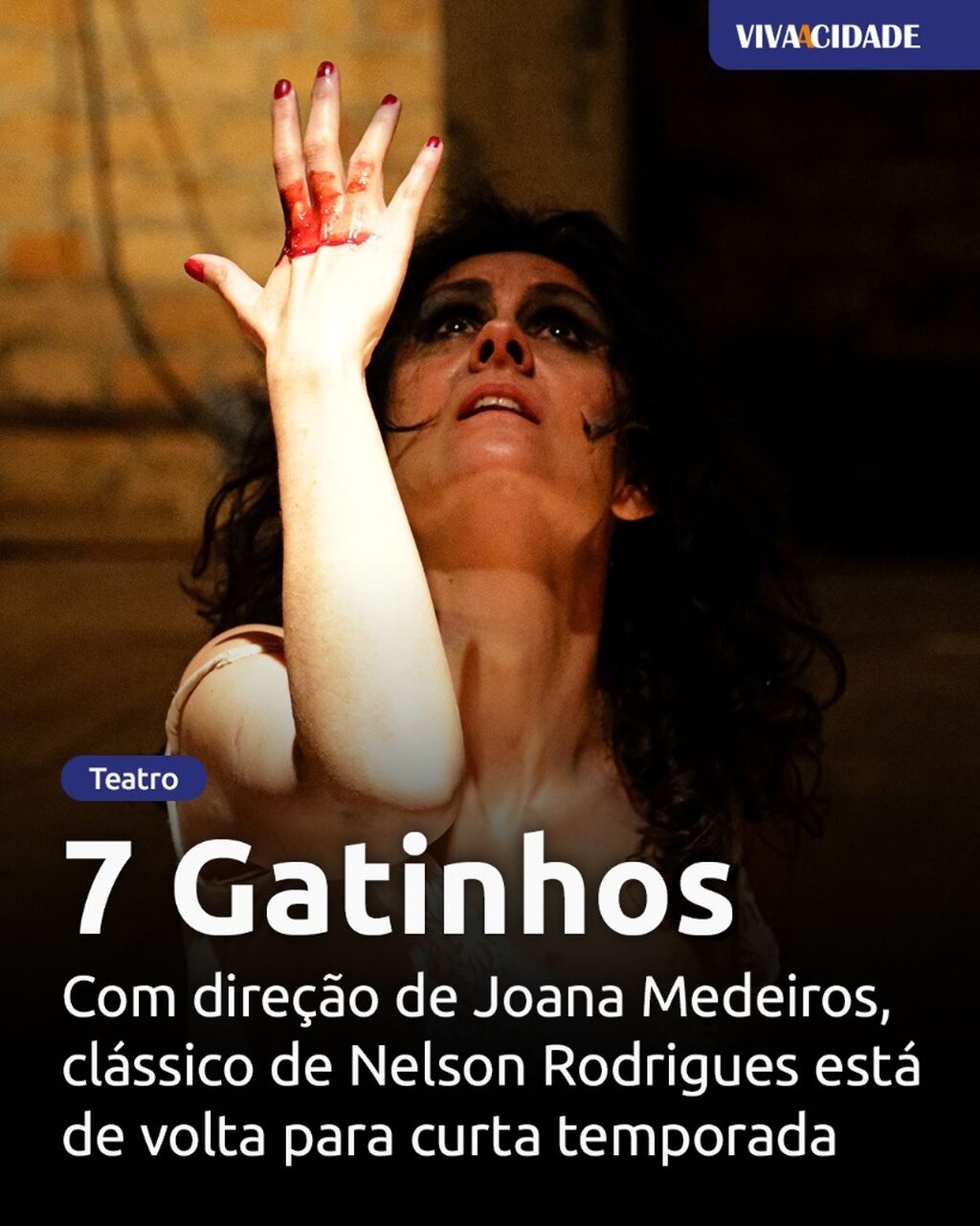 7 Gatinhos