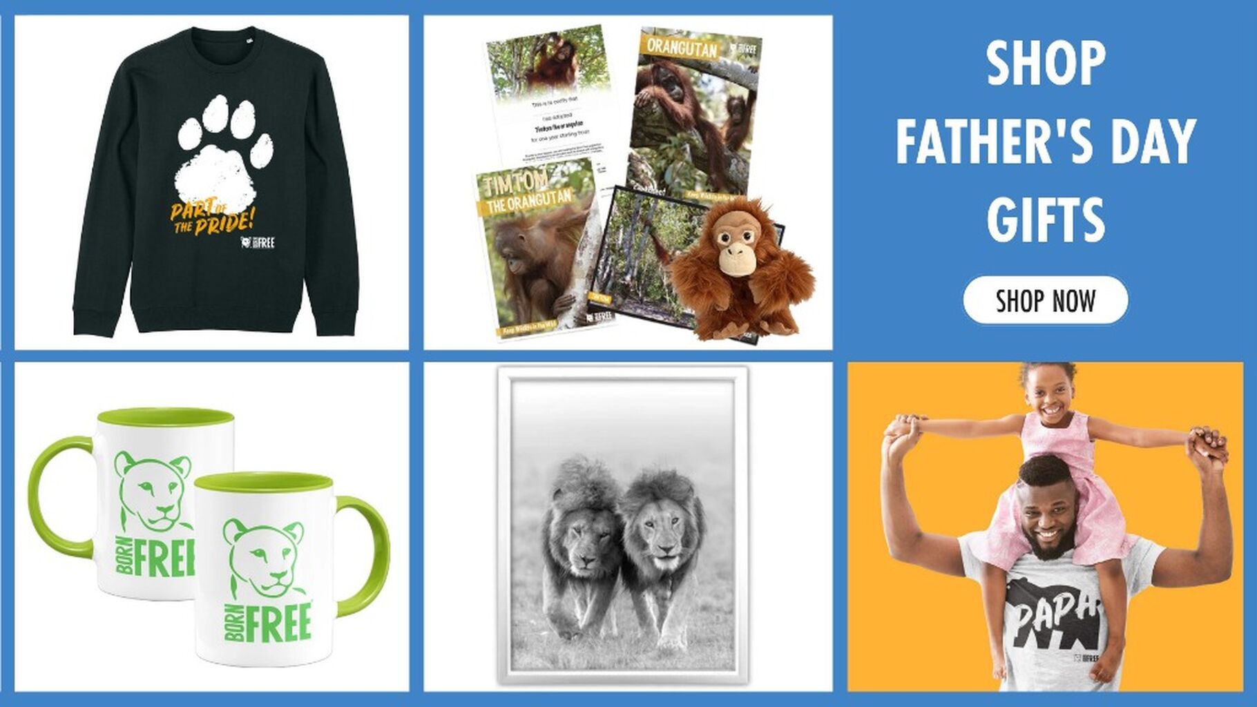 Father's Day Gifts