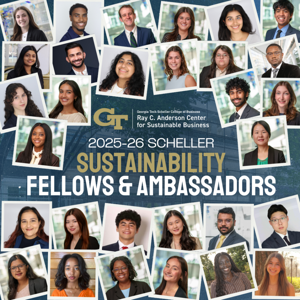 Fellows & Ambassadors Projects