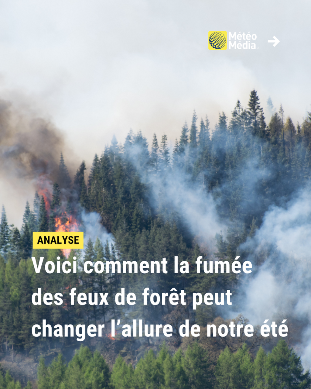 &Eacute;t&eacute; 2026 : ce ph&eacute;nom&egrave;ne pourrait-il chambouler la saison &agrave; venir?