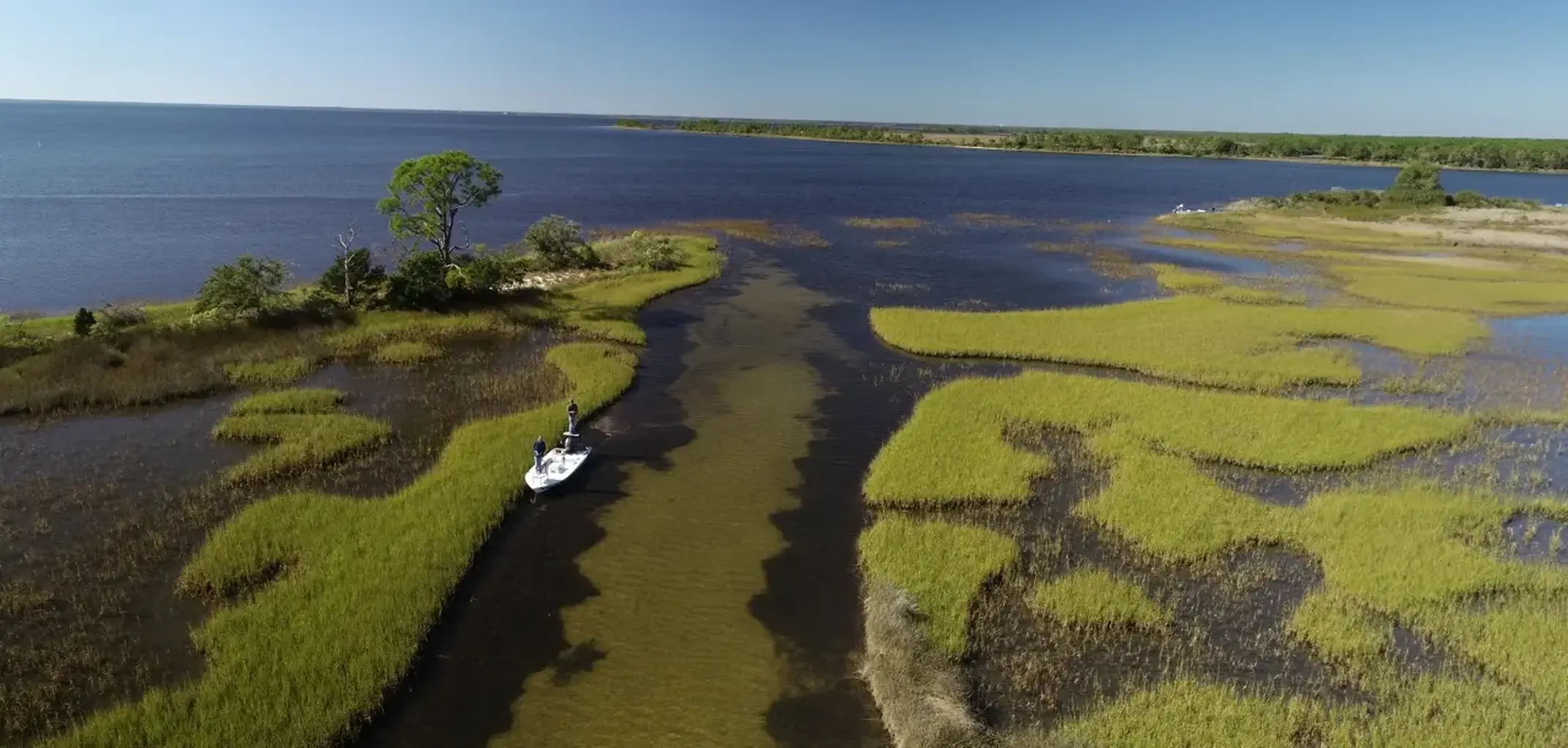 Get Involved | St. Andrew and St. Joseph Bays Estuary Program