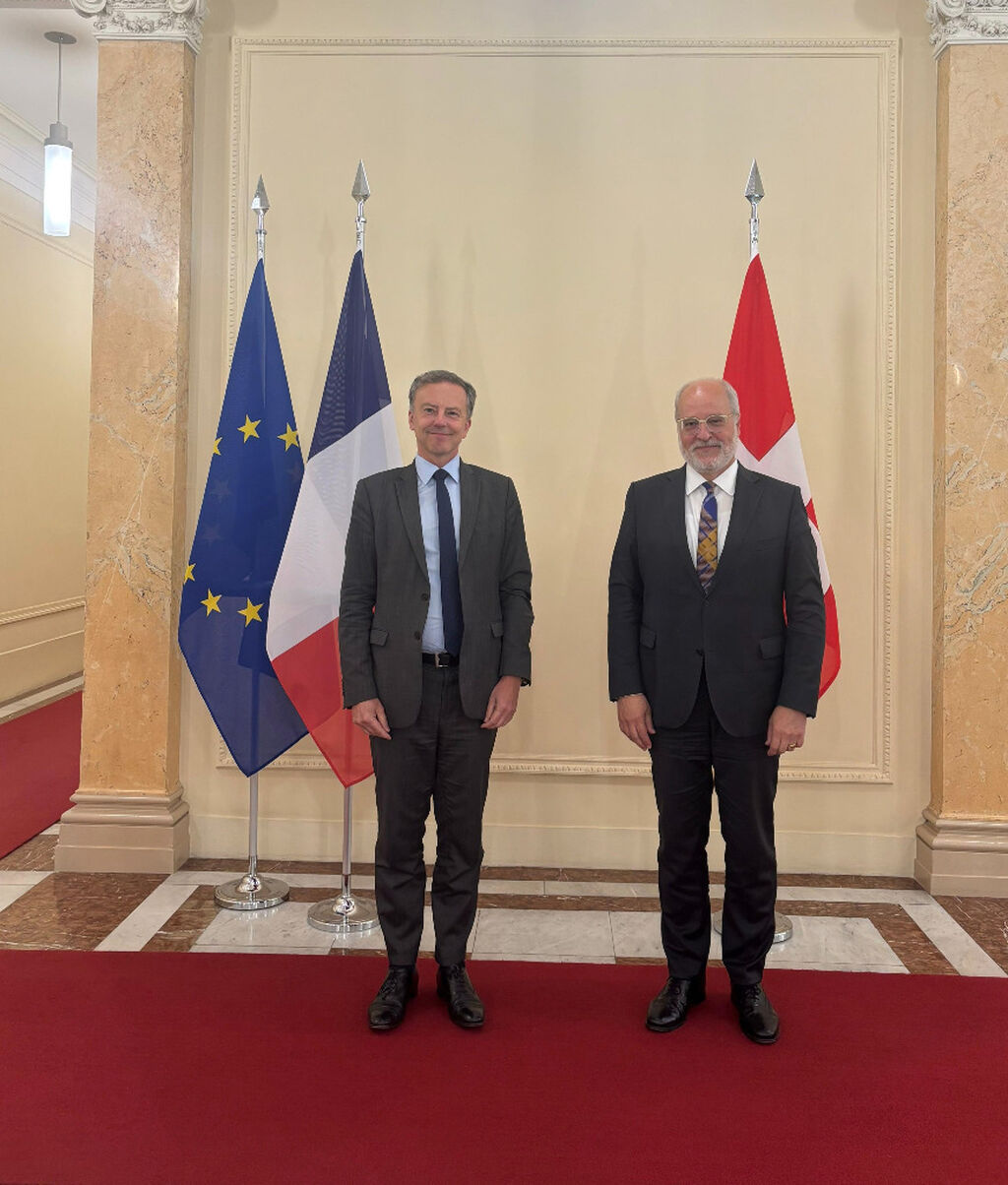 Consultations politiques
