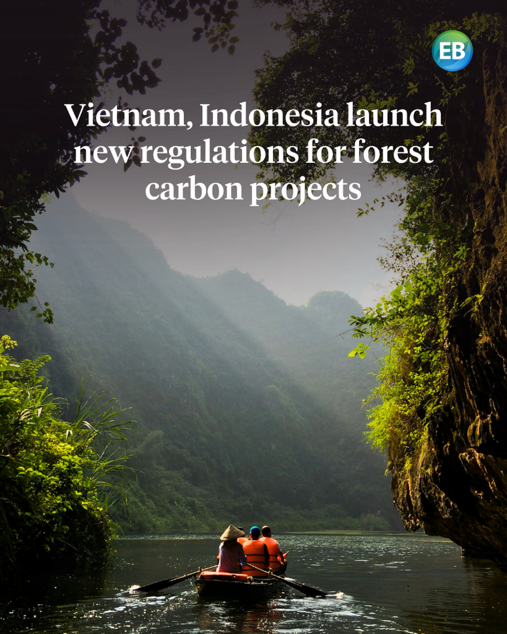 Vietnam, Indonesia launch new regulations for forest carbon projects