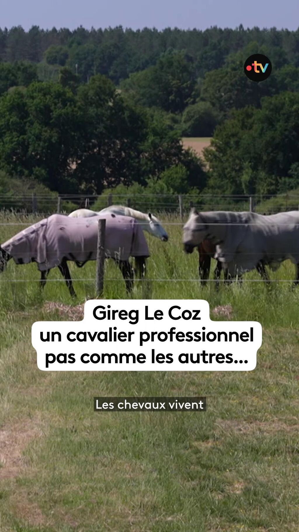 Le cavalier Gireg Le Coz, un champion du bien-&ecirc;tre des chevaux