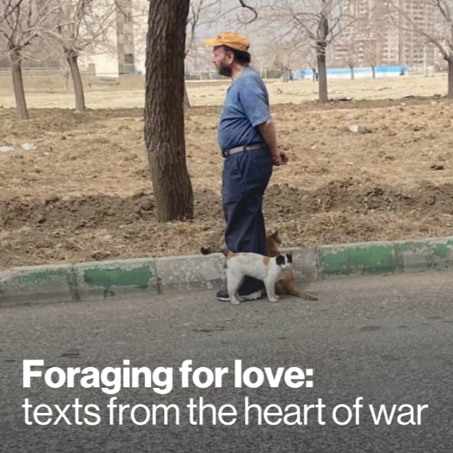 Rosv&acirc; breaks through: On foraging for love in war and terror
