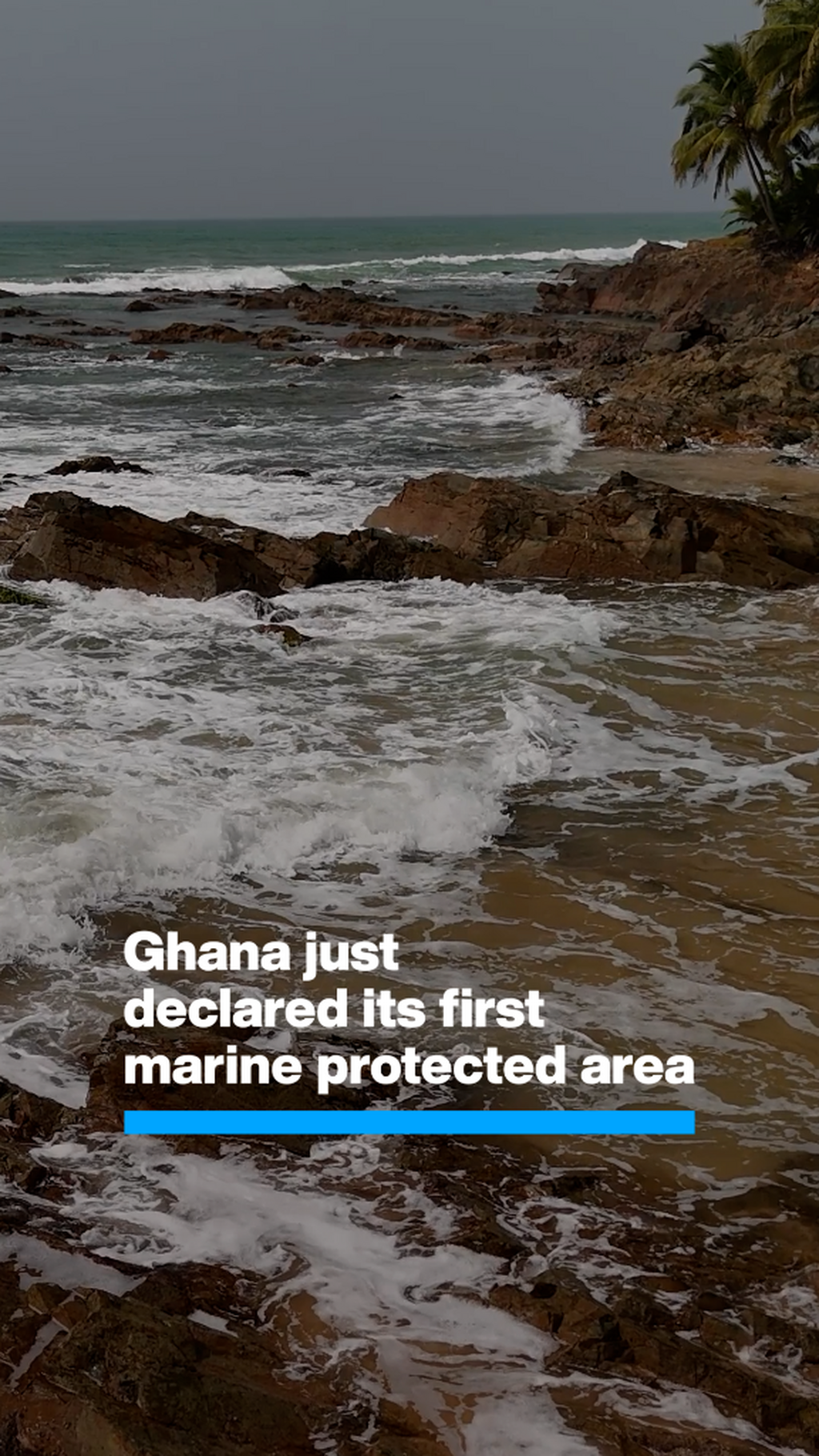 FRIENDS OF OCEAN ACTION