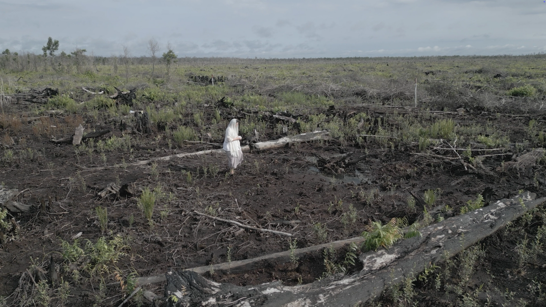 Can the Unseen Speak? Maria Putri and Ali Napier on plantation ecologies and colonial afterlives &ndash; KoozArch