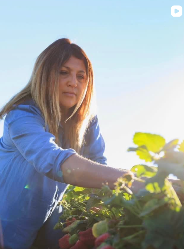 International Year of the Woman Farmer - California Strawberry Commission