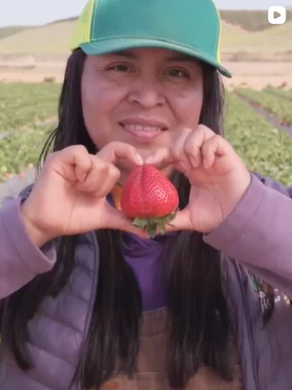 Explore Strawberry Recipes | California Strawberries