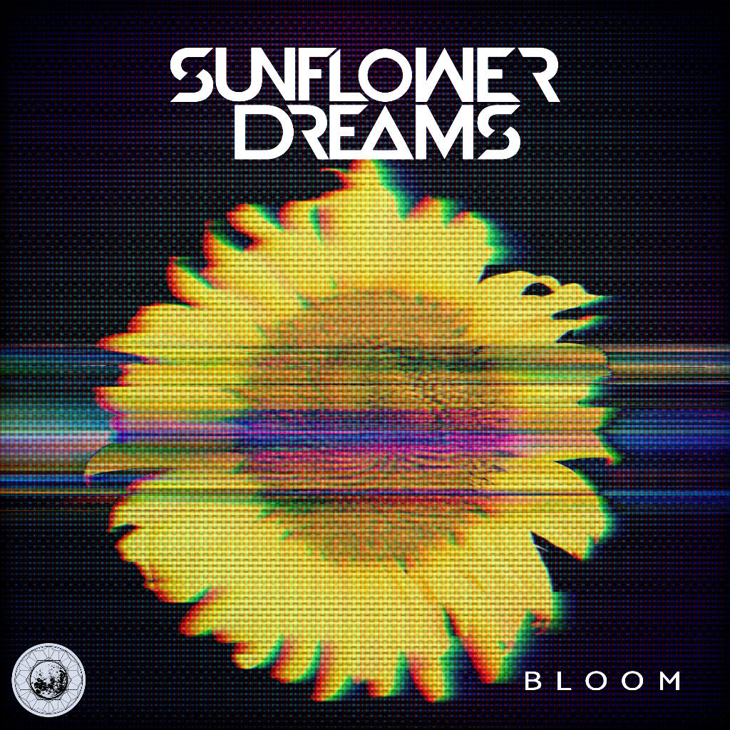 Sunflower Dreams - Bloom