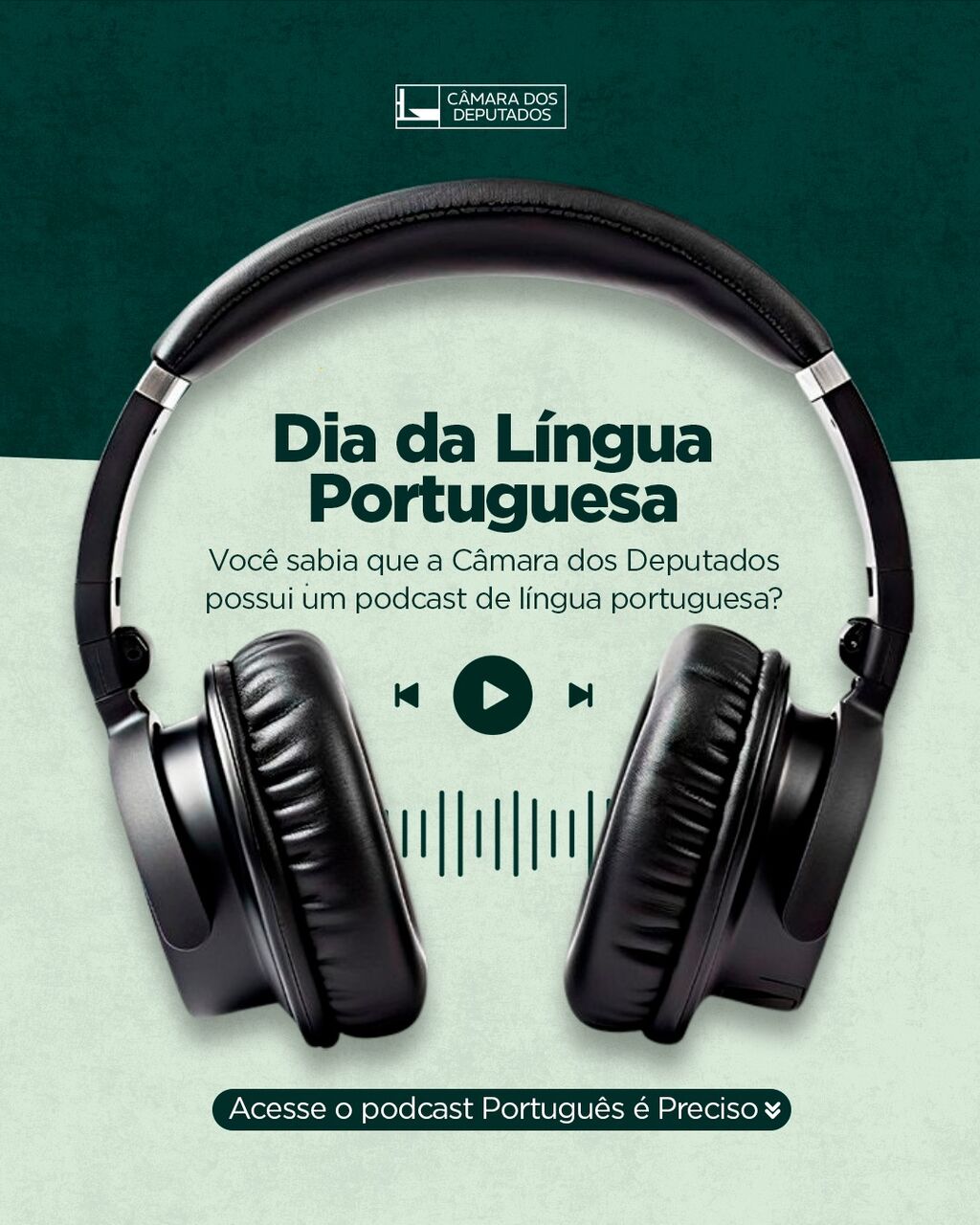 portugu&ecirc;s &eacute; preciso