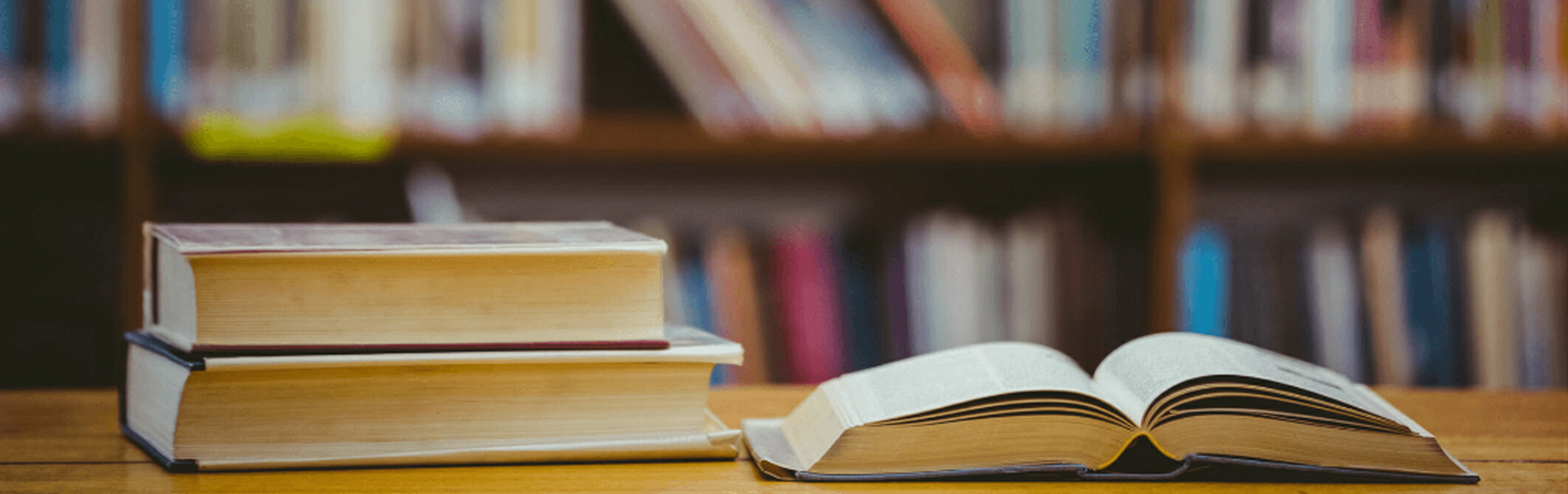 Nuovi orari estivi delle biblioteche di Berra e Ro