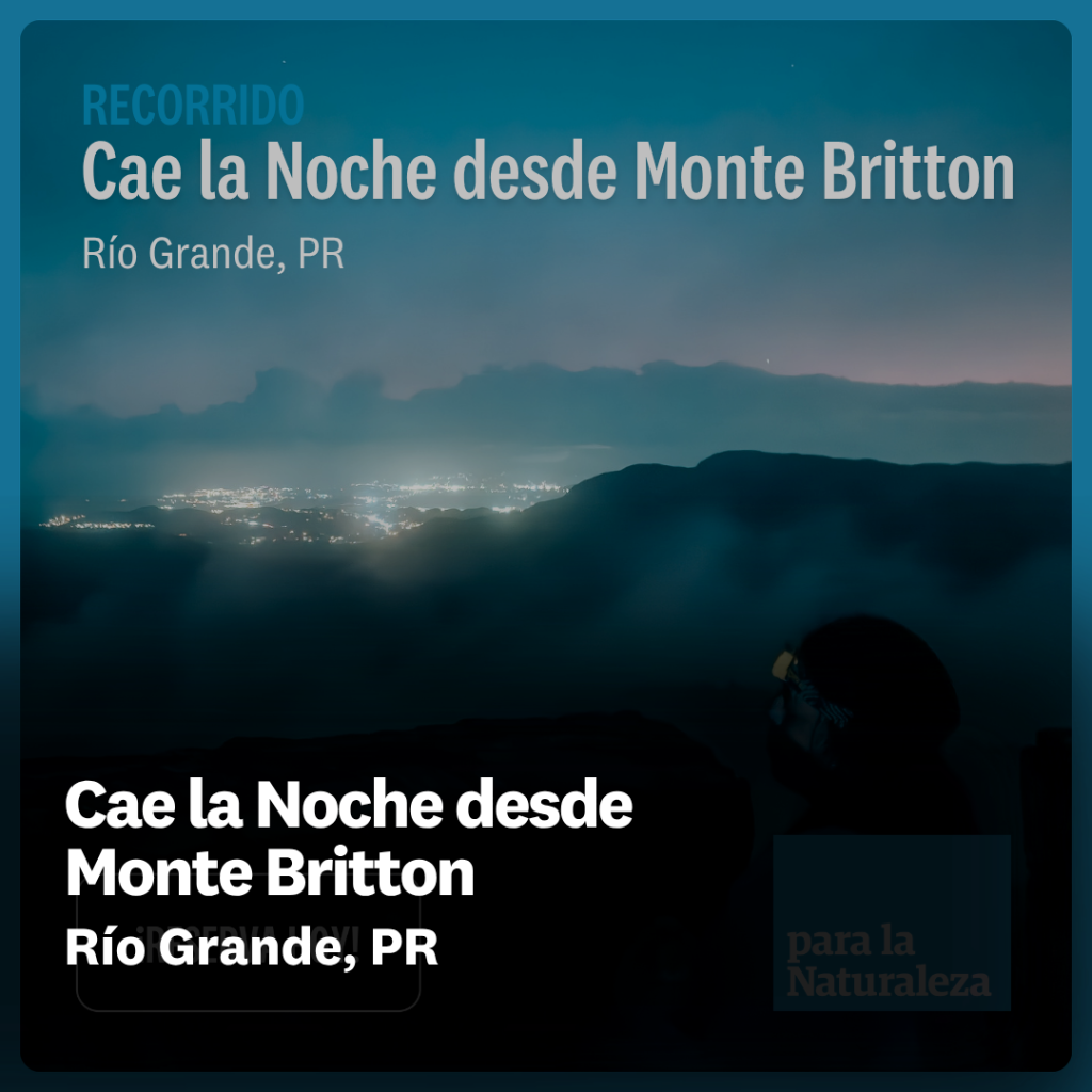 Cae la noche desde Mt. Britton