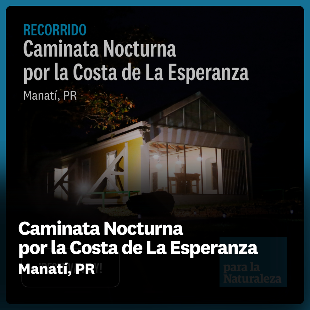 Una caminata nocturna por la costa de La Esperanza