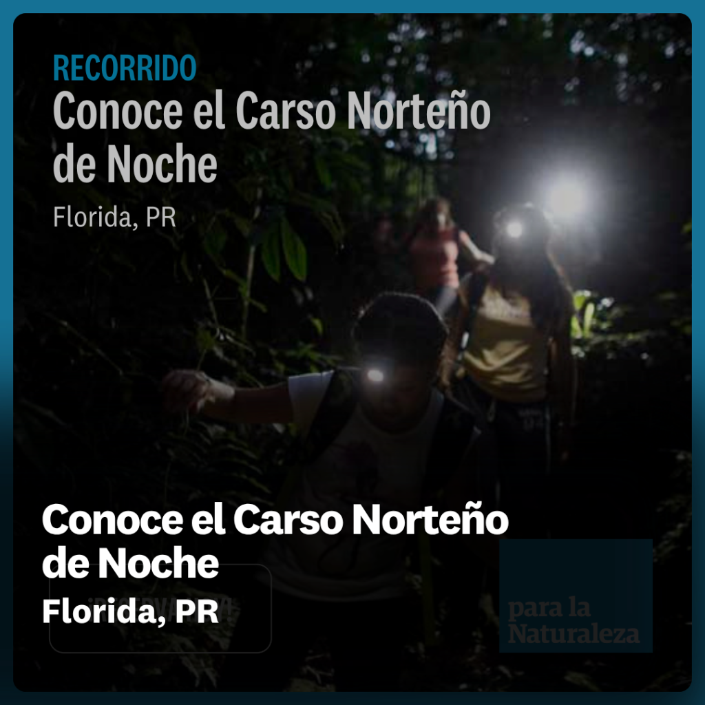 Conoce el carso norte&ntilde;o en la noche